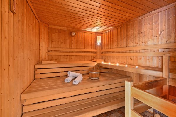 wellness-sauna