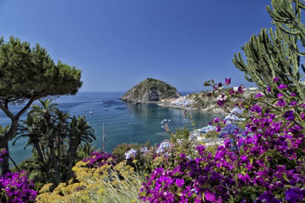 A view of SantAngelo in Ischia island in Italy through bougainvillea glabra